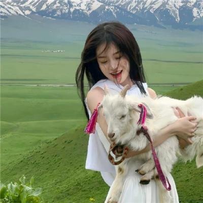 少年歌行之风花雪月